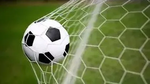 金载烈主席指出：中国在国际滑联发展中居核心地位，在运动员培养和赛事举办方面成果显著。