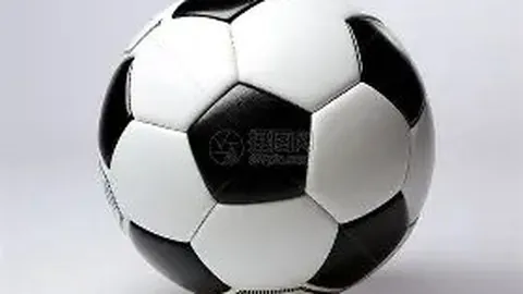 陈梦创办乒乓球训练中心，特色强化班仅需9000元，包教20天。